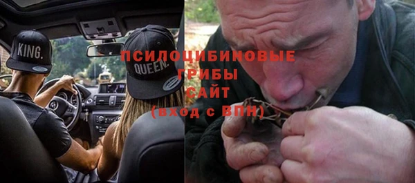 трава Верея