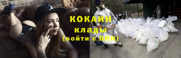 трава Верея