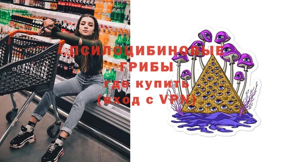 трава Верея